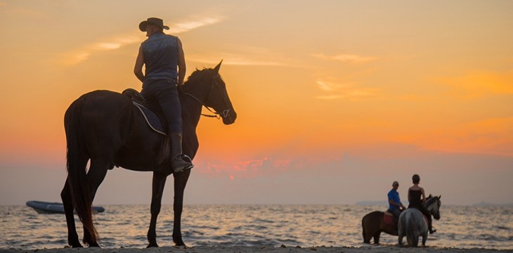 Horse Country Resort Congress & SPA