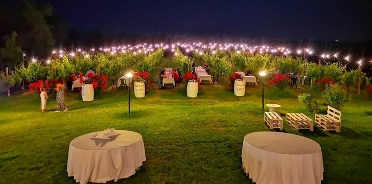 Podere Riosto: spazio esterno nei vigneti