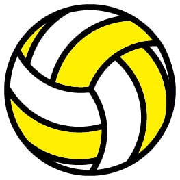 icona palla da volley