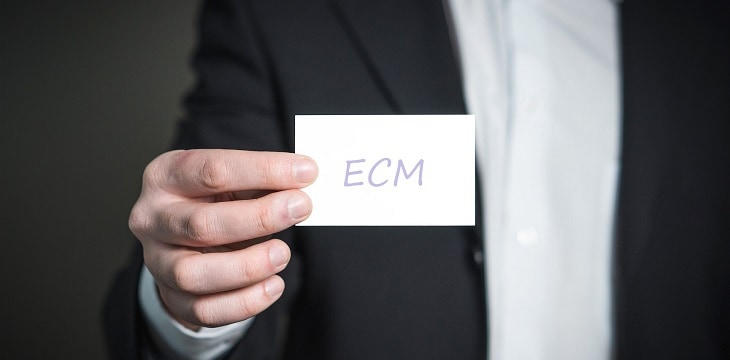 Steward e hostess ECM: chi sono e dove trovarli Steward e hostess ECM: chi sono e dove trovarli