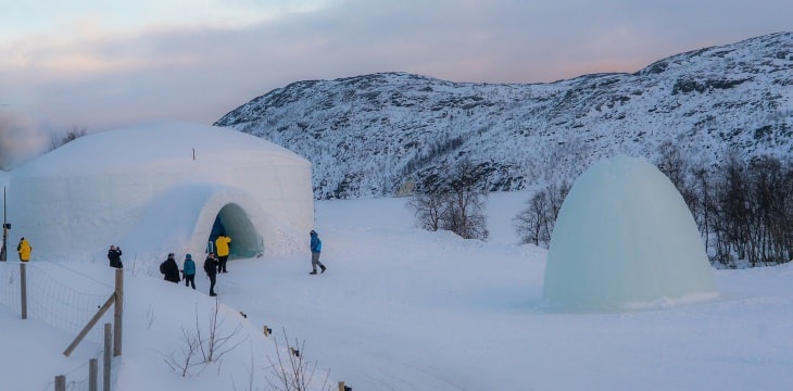 Igloo Team Building