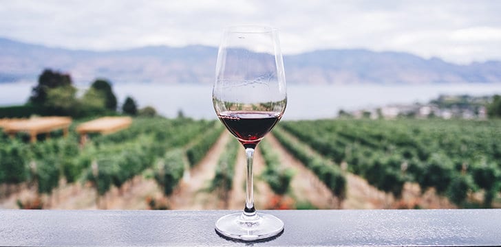 calice di vino in primo piano con vigneti sullo sfondo