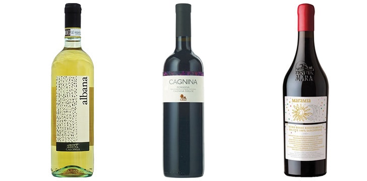vini tipici romagnoli