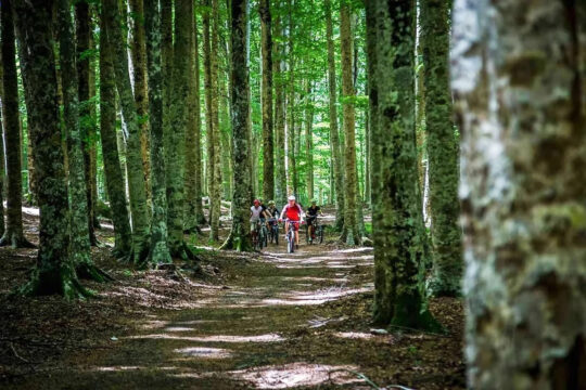Toscana Wellness Resort - Attività all'aperto