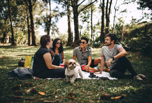 pic nic