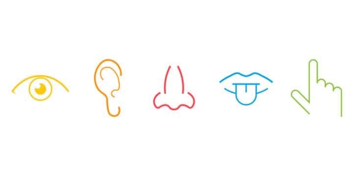 Marketing Sensoriale Marketing Sensoriale