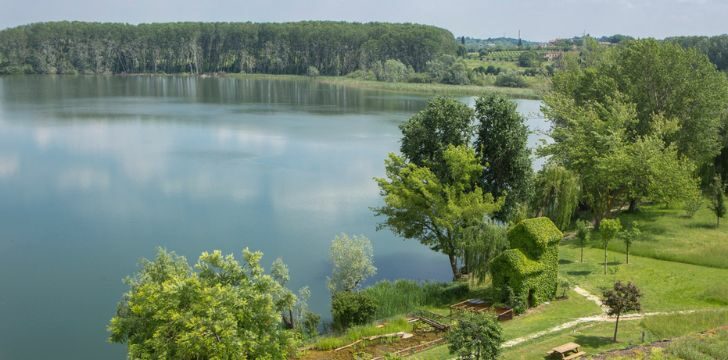 Le Ali del Frassino: un'oasi verde