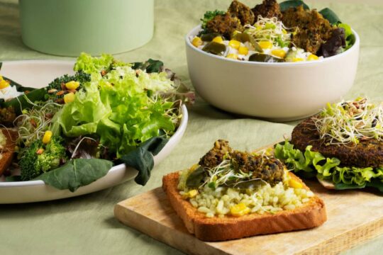 buffet vegano compleanno