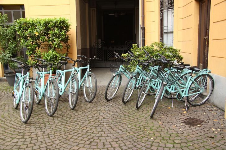 SpiciulArt Bike & Tour photo 1