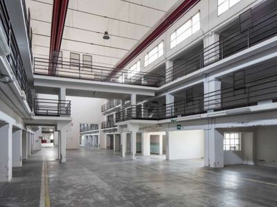 Dumbo Bologna Meeting Hub