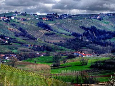 sale meeting e location eventi Neive - Cantina Cecilia Monte sale meeting e location eventi Neive - Cantina Cecilia Monte