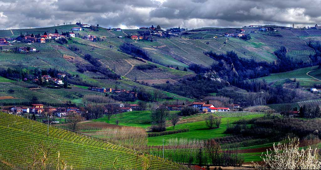 Cantina Cecilia Monte