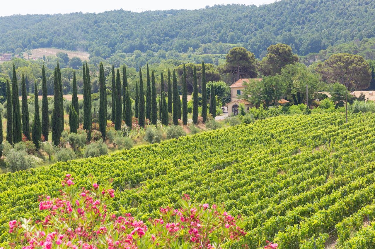 Relais La Pieve Vecchia