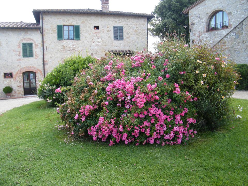 Taverna di Bibbiano