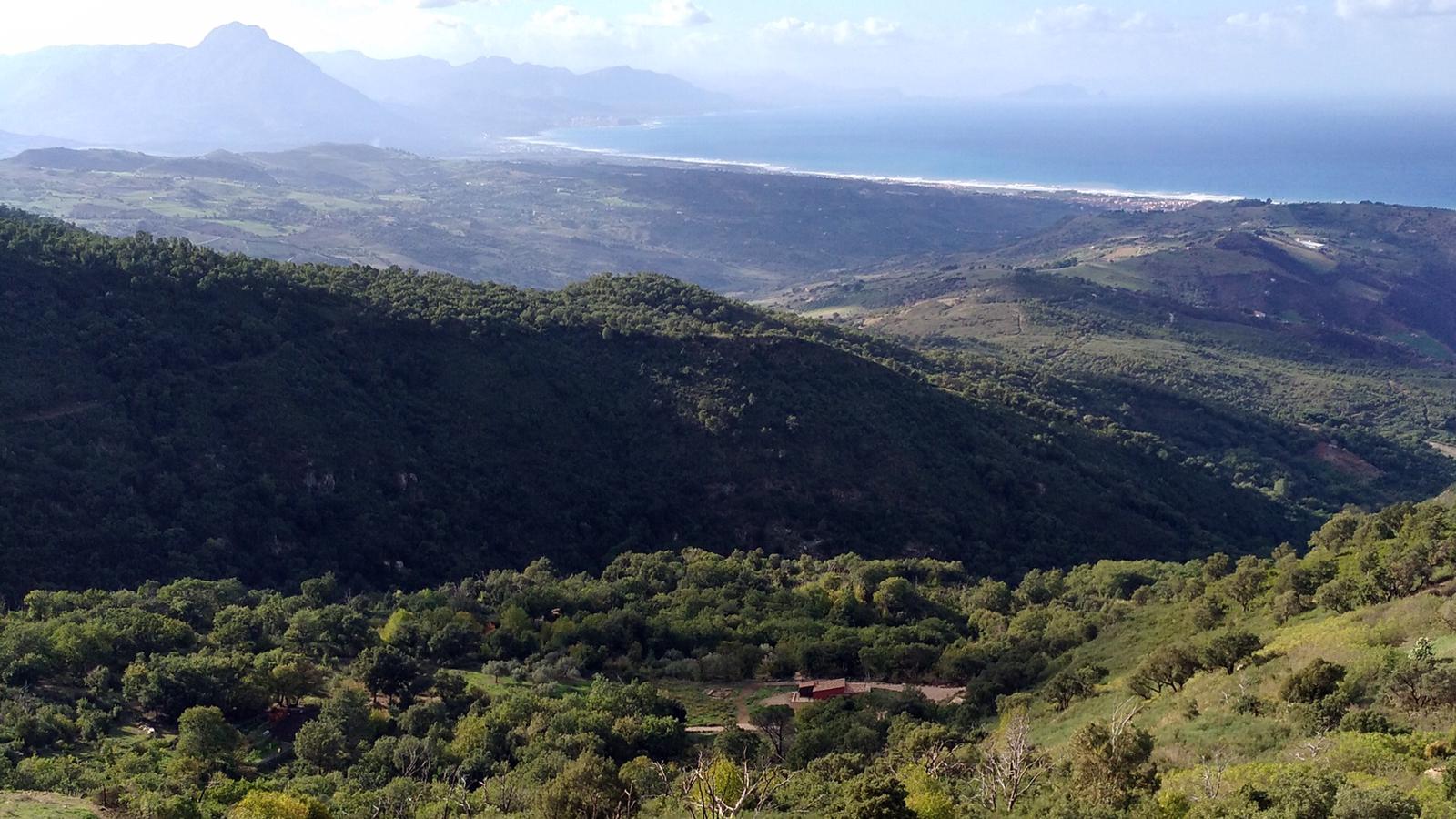 Wundergarten Sicily