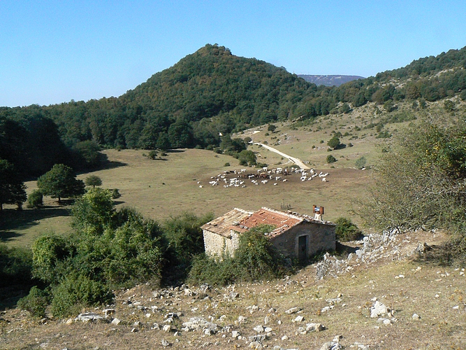 Immersioni nel Paesaggio