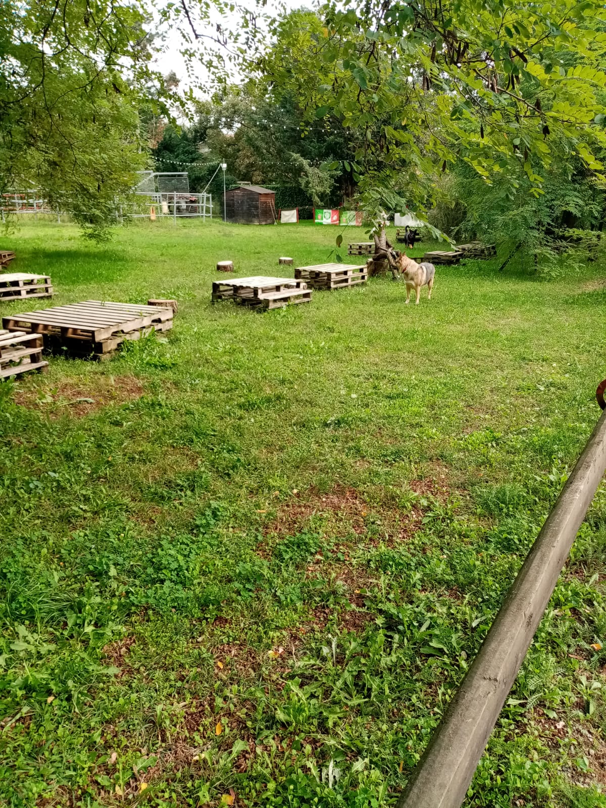 La Collina degli Stivali