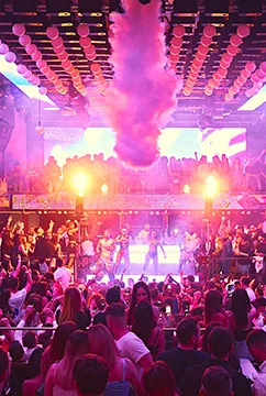 Feste Private a Bologna