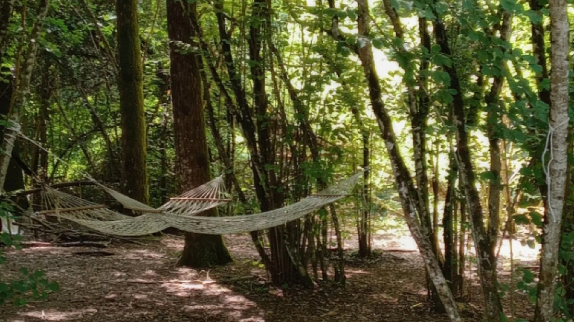 Senxunia Glamping Nel Bosco