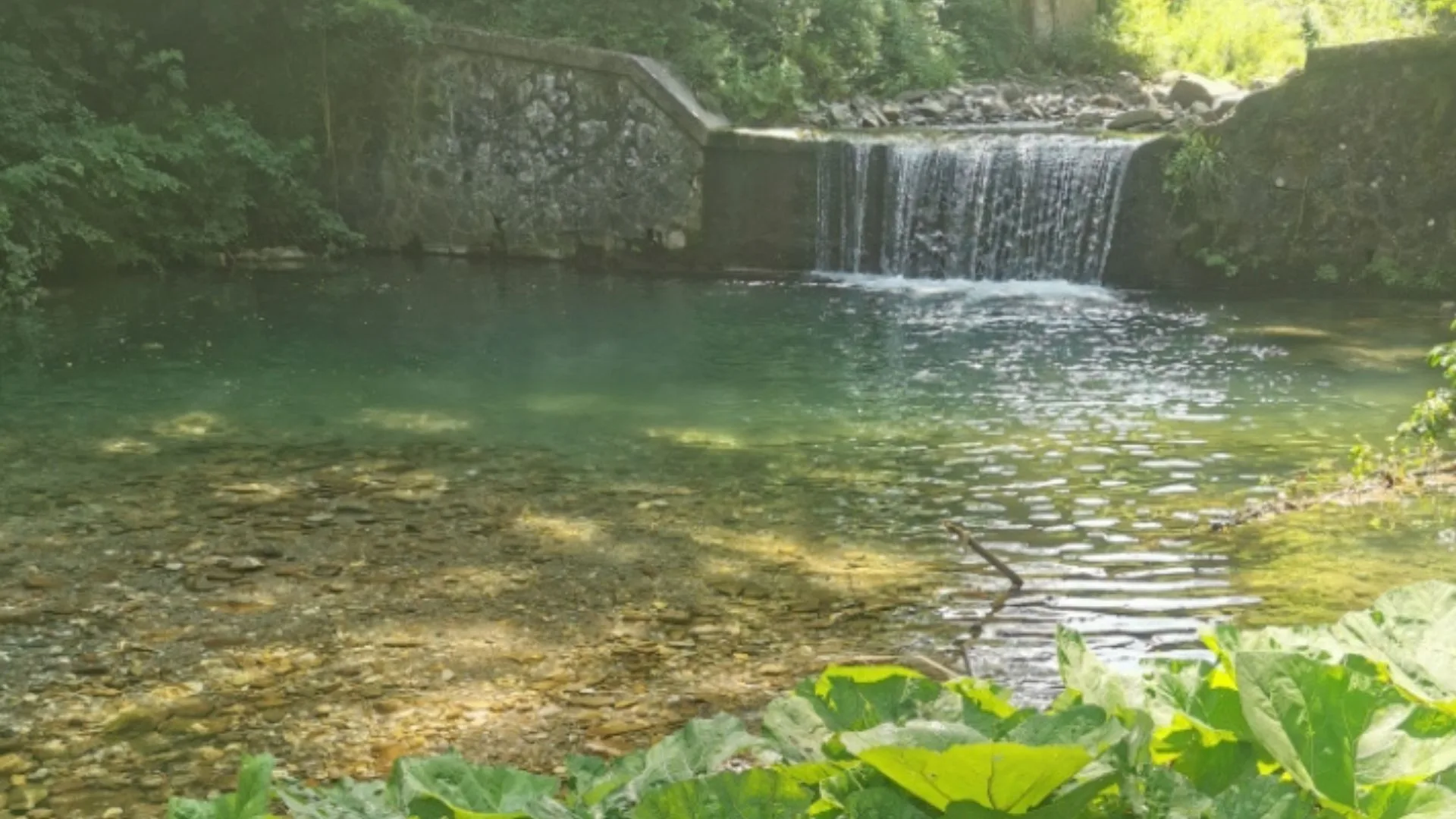 Senxunia Glamping Nel Bosco