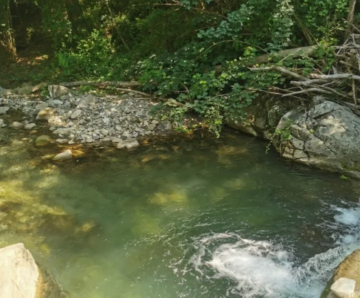Senxunia Glamping Nel Bosco