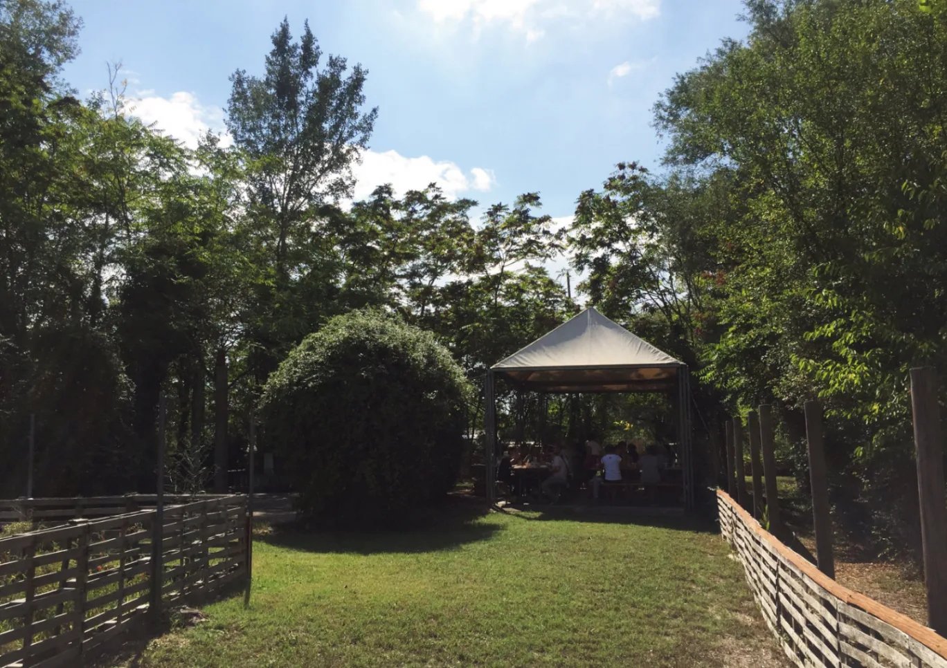 Piccola Oasi - Eventi