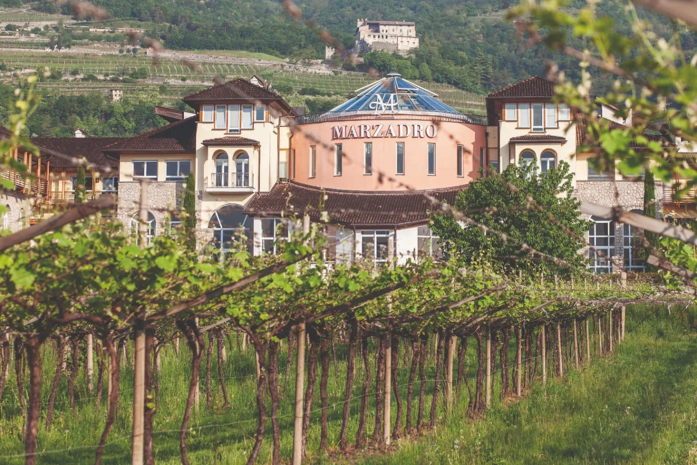 Distilleria Marzadro - Location per eventi