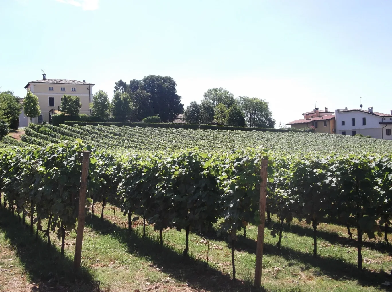 Cantina Peri Bigogno - Meeting ed Eventi