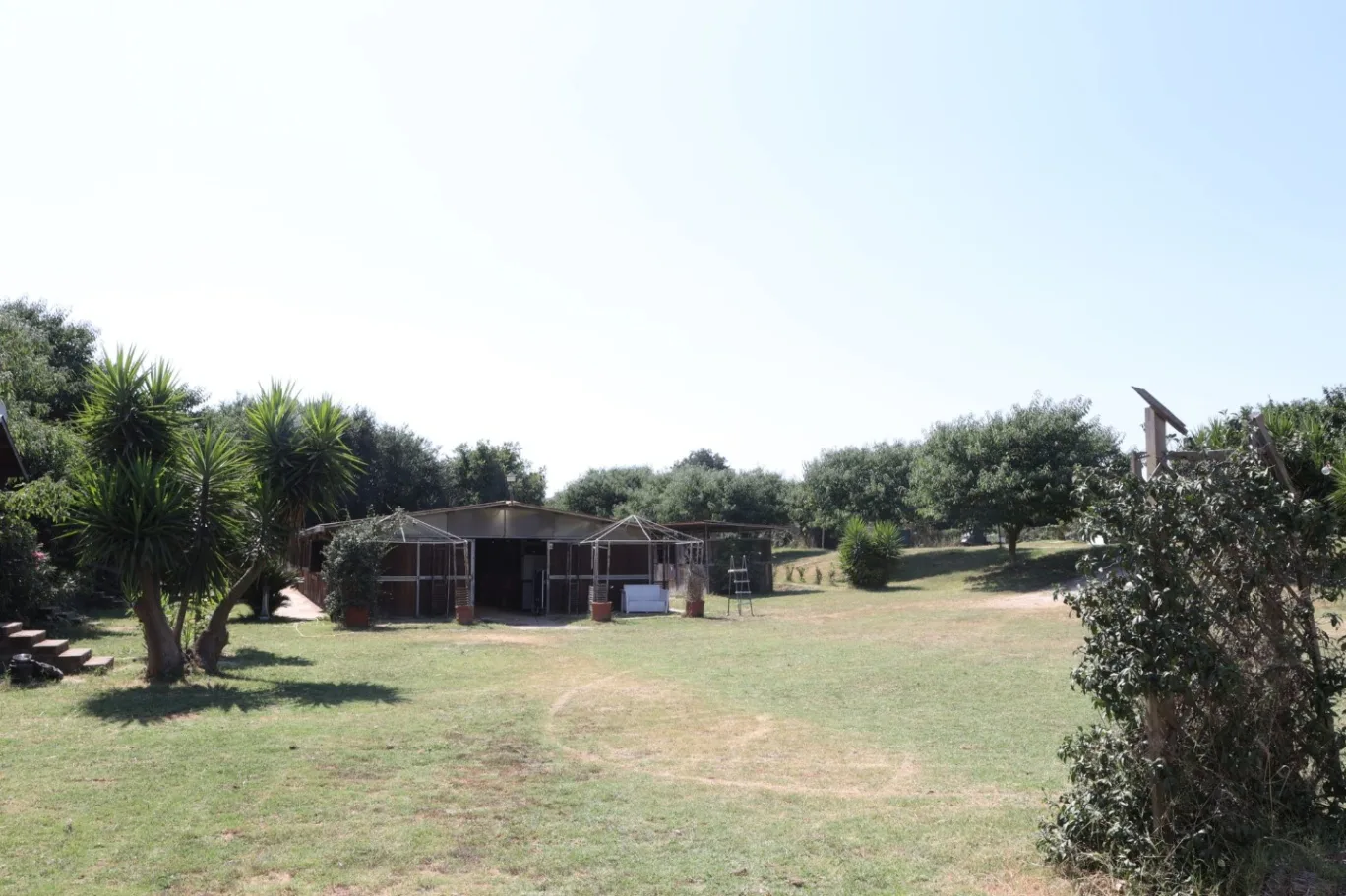 Circolo Ippico Antiope - Eventi